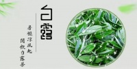 金秋好物大赏：白露为霜的季节，怎么能少得了碧然德滤水壶