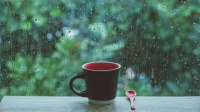 秋雨多湿气重怎么破？放心，有日立无湿意