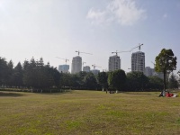 深圳土拍中海成最大赢家！频频拿地背后，多地项目遭投诉