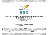 碧桂园前9月权益合同销售额同比微增0.3% 单月跌近三成