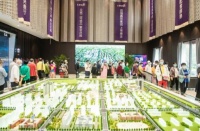 鑫苑集团多城楼盘销售紧俏 稳健增长或迎发展良机