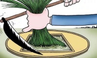 不想被割韭菜，装修除甲醛跟着内行人自己做，效果超级好