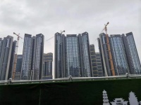 在大湾区，这是我看到的最为“混乱”的楼市