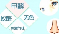 失败的教训！这些误区千万别用了，试试这几个除醛“克星”