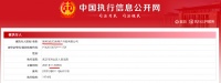 保利武汉房地产年内5次被列为被执行人 累计执行标的约144.6773万元