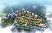 法拍，烂尾楼的“复活”捷径？