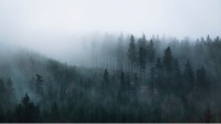 雨雾弥漫，看城市为山林倾倒