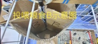 用机智云和ShineBlink打造智能语音控制版宠物屋
