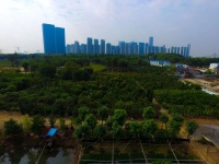 第三轮集中供地“棋至中局”：国资成主流，招商蛇口持续“抄底”
