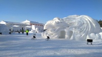 低至10万一套！到冰天雪国牡丹江囤个房