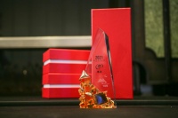 致敬航天精神赋能品牌升级，维达荣获“年度金点品牌奖”