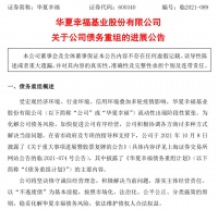 中国第一单千亿级房企债务重组，通过了