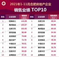 2021年1-11月合肥房地产企业销售业绩TOP10