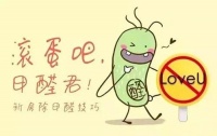 新房怎么快速除甲醛？做好这4点快速搬新家