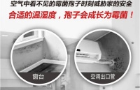 怎么选腻子？