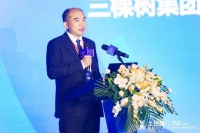 三棵树洪杰：文化驱动创新  谋求高质量发展