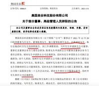 奥园美谷告别房地产管理团队“大换血”：马军退出、胡冉被扶正