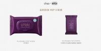 ch22湿厕纸家庭装＆便携装——可靠的“私”密伙伴，擦去后顾之忧