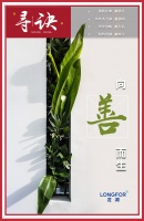 寻诀2021丨龙湖集团：向善而生