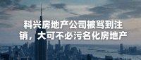 科兴房地产公司被骂到注销，大可不必污名化房地产
