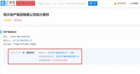 恒大所持成都公司超5亿股权被冻结
