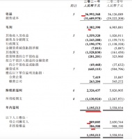 正荣地产2021年归母净利同比减少69.5% 少数股东损益大增57.44%