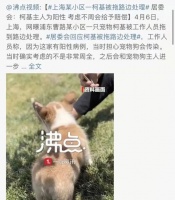 与宠物双向奔赴的爱，你准备好了吗？