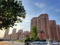 “卖完这个项目可能就无事可做了”：郑州楼市松绑一月，市场仍然跌政策不甘心