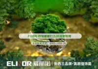 爱丽诺欧松板  自然家居，自然人生