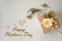 母亲节美妆、小家电商品受欢迎