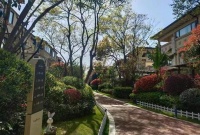 善居十一年：是藏在生活的彩蛋，也是一份持久的热爱