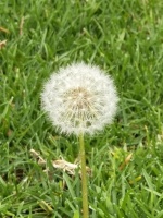 左晖逝世一周年，彭永东发文称：难，让我们更坚定，2022贝壳“重生”