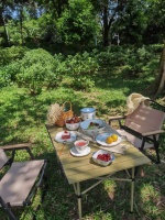 在用的顺祥陶瓷餐具好好看，干饭都积极很多！