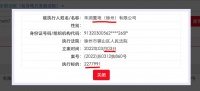 华润置地（徐州）公司被列为“被执行人” 执行标的2277991