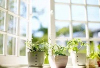 对甲醛知道多少，如何除甲醛？有效方法这6种！