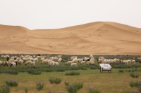 DOJUS度假式|连结自然，以爱世界的名义创造品牌