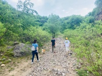 一房难求，京郊民宿“回血”时刻来了？