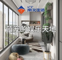 南北生活丨家中精灵、憨态可掬，宠物的娱乐天地