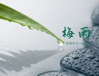 夏至 | 最长的白昼，最久的地固