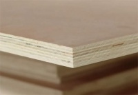 放心之选｜跳跳兔杉木多层板，赋能健康舒适家居