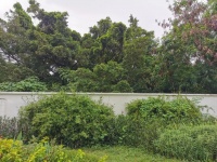 寸土寸金深圳湾，竟有地块荒了十余年！佳兆业脱手，中信入局，能否推动开发进程？