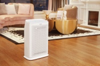 远离“过敏”侵扰 A.O.史密斯空气净化器守护家人健康