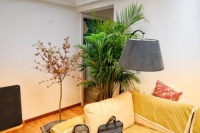 恋家的人不会错过这款东宝软床