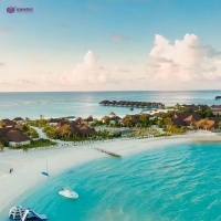 威廉顿陶瓷赏析｜色彩点缀家居，夏日中拥抱清凉与舒爽