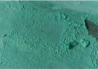 做好的防水，咋起皮了？