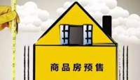 专家称取消预售制更不利于购房者，网友：建议专家不要建议