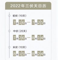 “加长版”三伏天来了!海信中央空调助您清爽一夏
