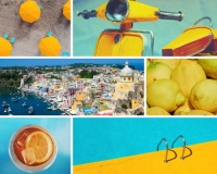 今年盛夏的乳胶漆颜色应该怎么选择？