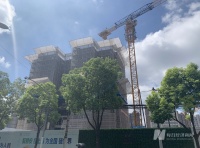 审核来不及、开盘被叫停，上海这个10万+网红盘让人看不懂