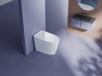 给全家人的新一代智能马桶 对标万元机的智米智能马桶一体机2S开启预售